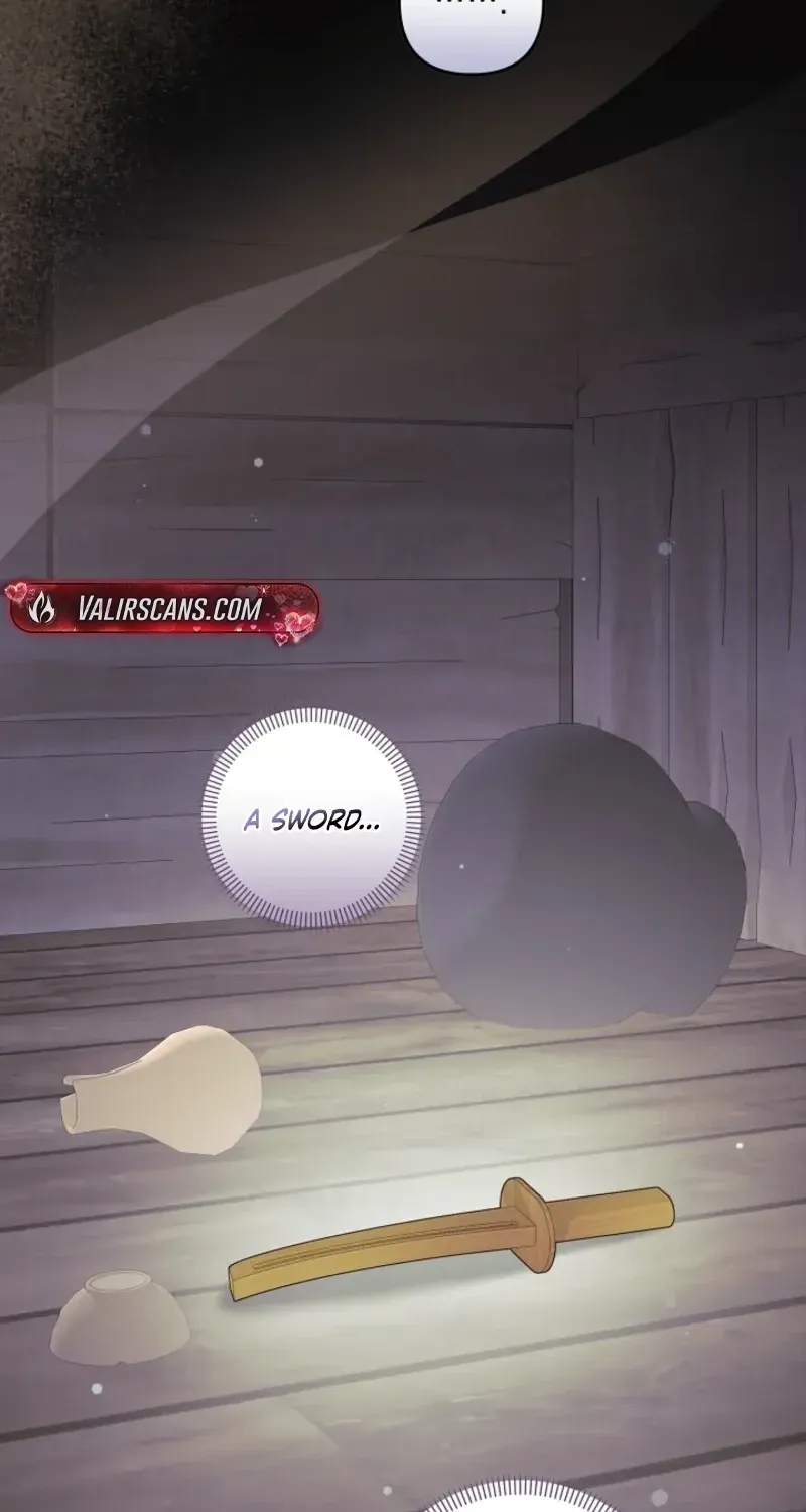 I Want a Divorce, Please Stop Obsessing Over Me! Chapter 51 page 96 - 