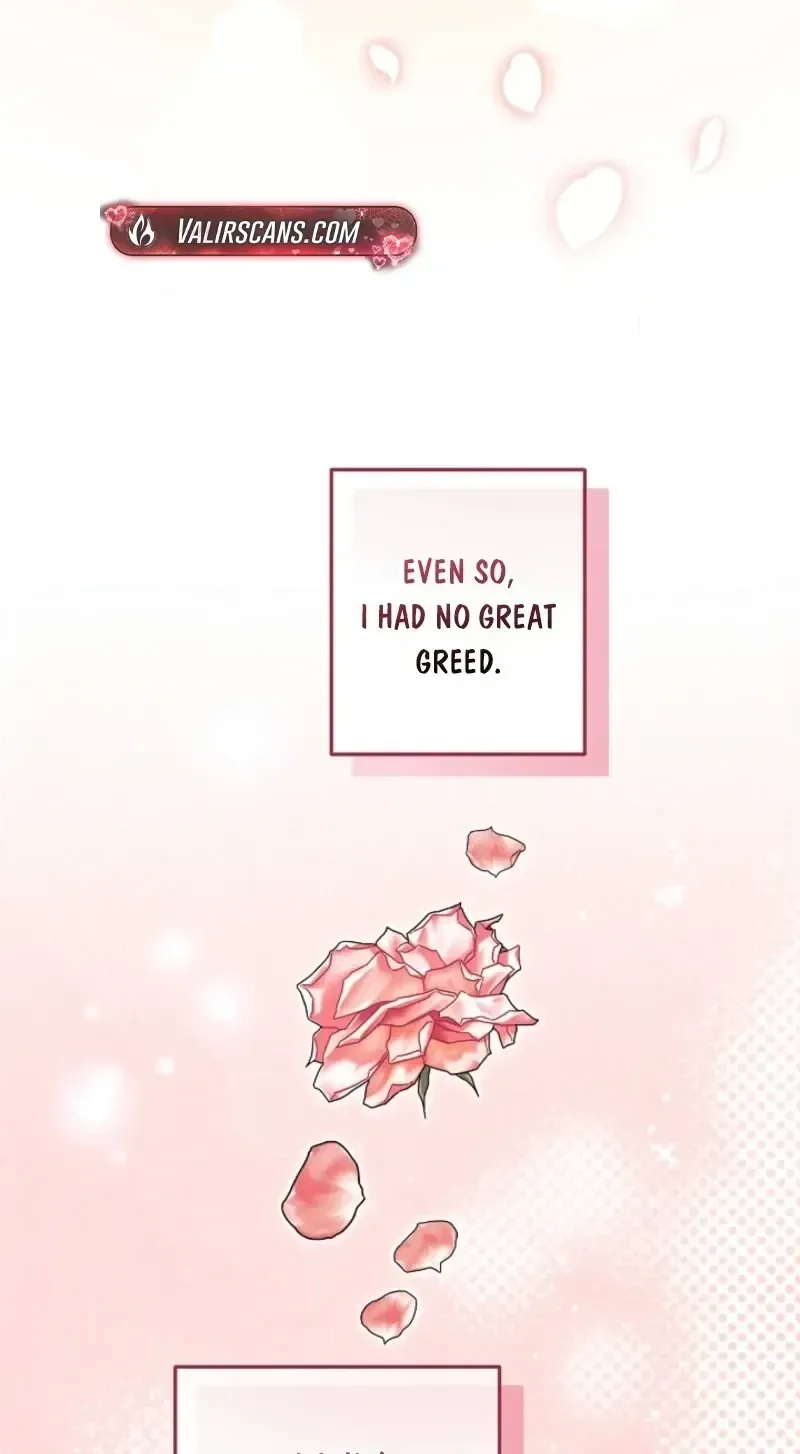 I Want a Divorce, Please Stop Obsessing Over Me! Chapter 52 page 104 - 