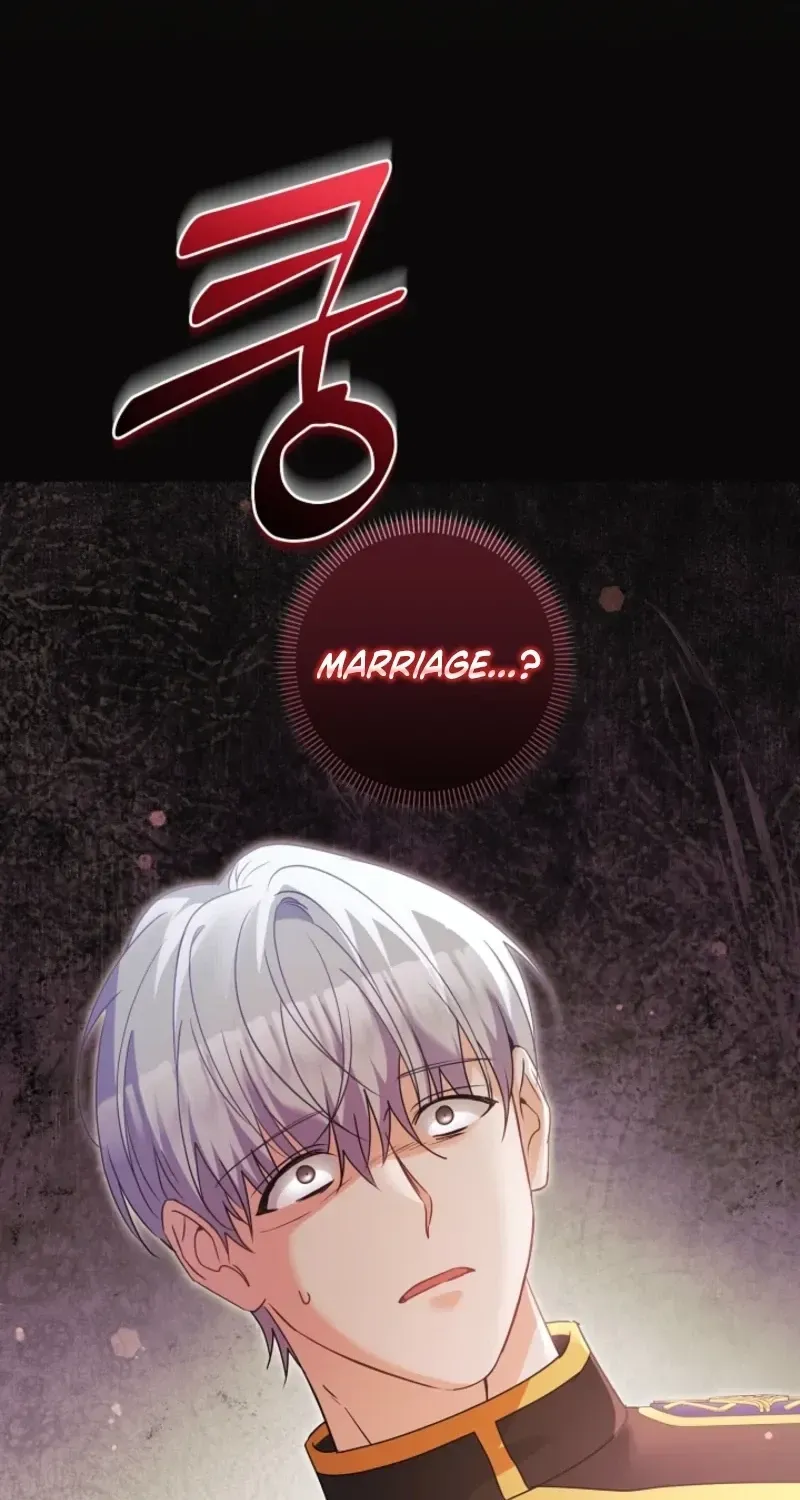 I Want a Divorce, Please Stop Obsessing Over Me! Chapter 52 page 111 - 