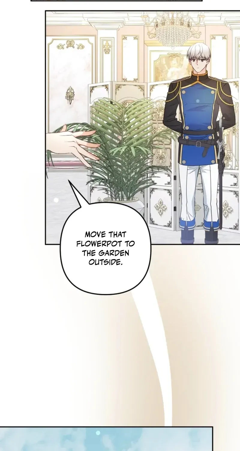 I Want a Divorce, Please Stop Obsessing Over Me! Chapter 52 page 15 - 