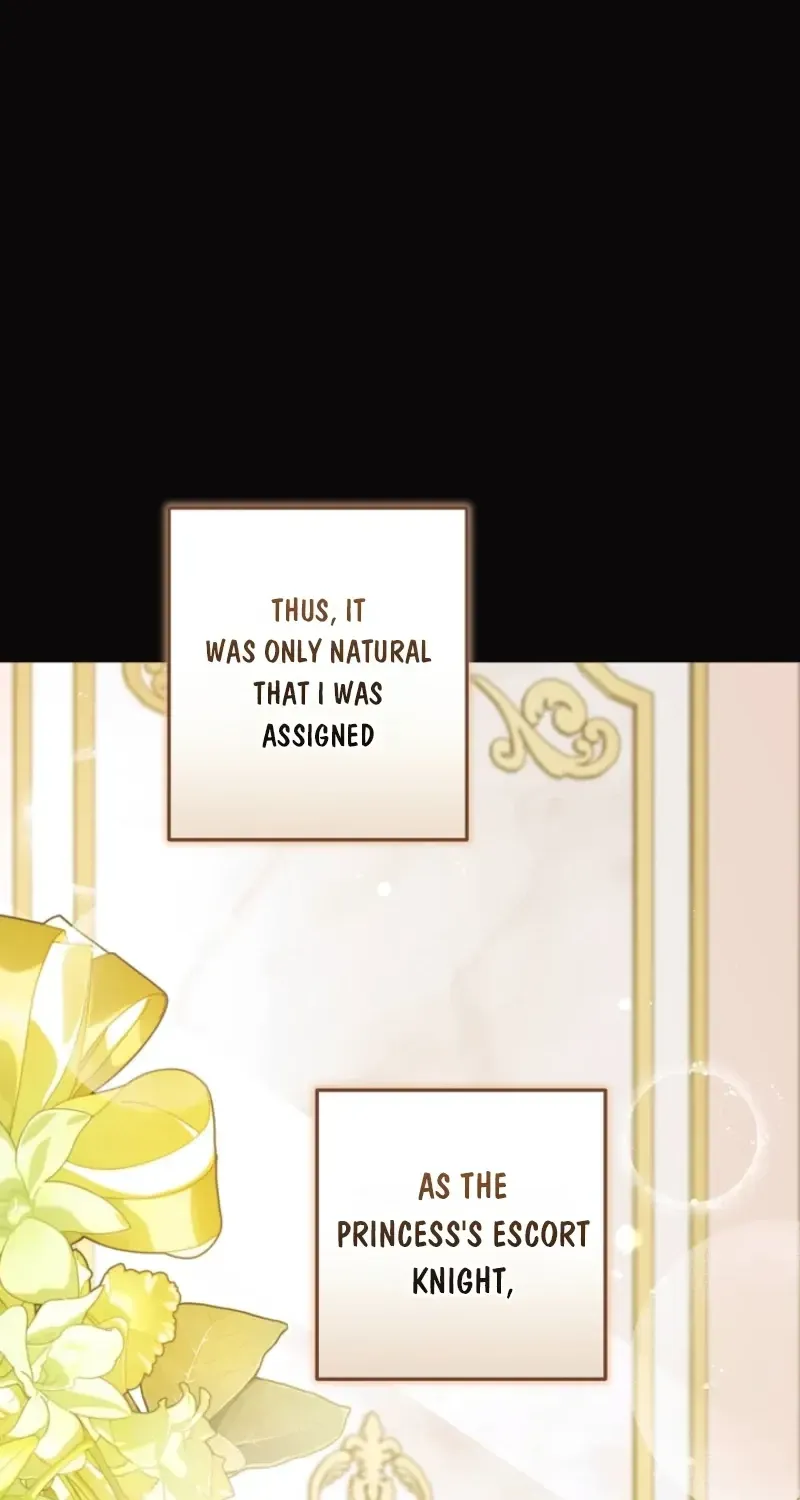 I Want a Divorce, Please Stop Obsessing Over Me! Chapter 52 page 9 - 