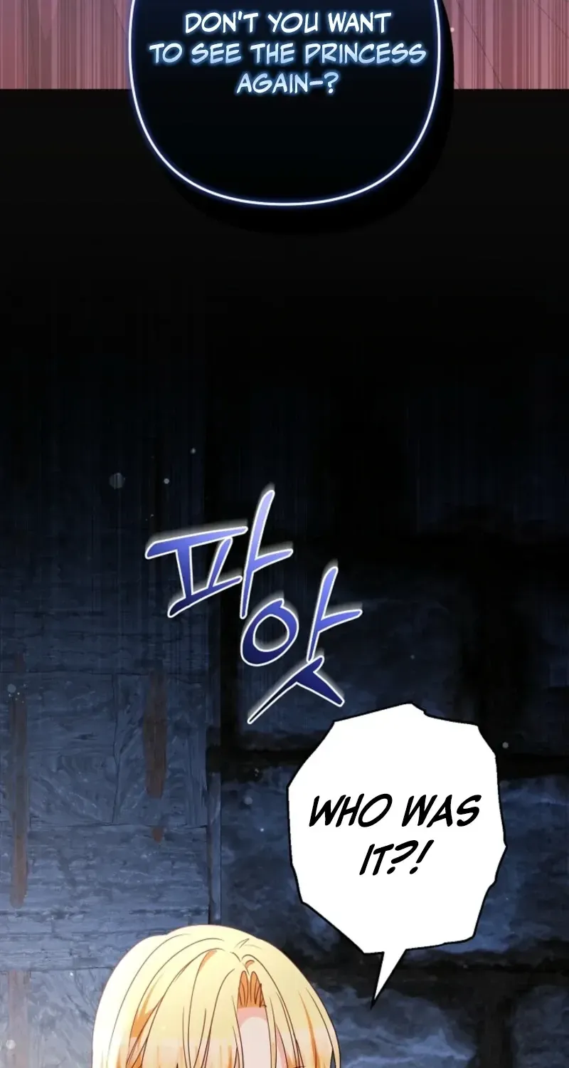 I Want a Divorce, Please Stop Obsessing Over Me! Chapter 53 page 107 - 