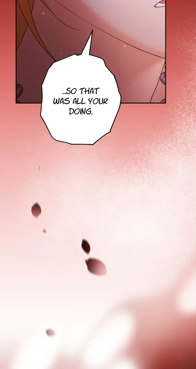 I Want a Divorce, Please Stop Obsessing Over Me! Chapter 53 page 112 - 