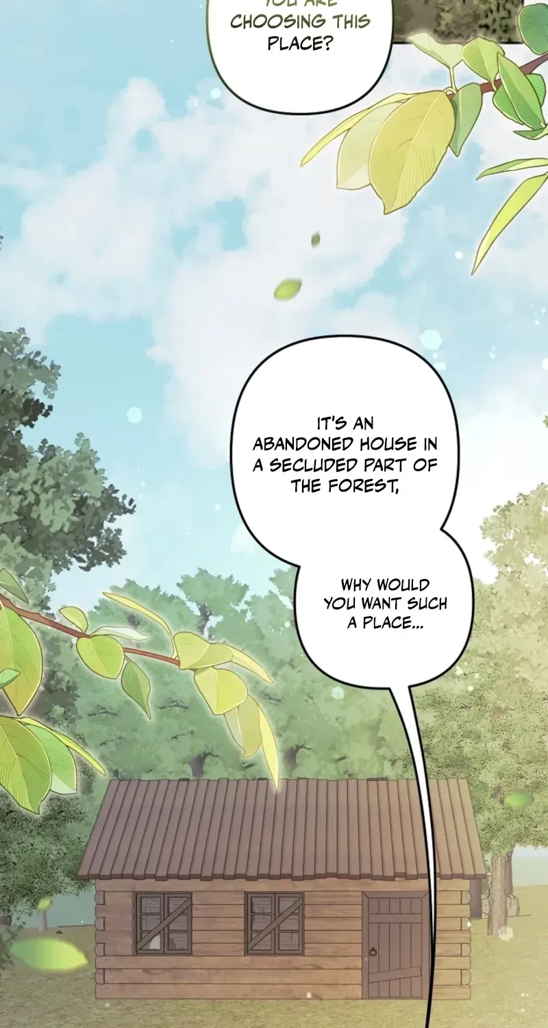I Want a Divorce, Please Stop Obsessing Over Me! Chapter 53 page 35 - 