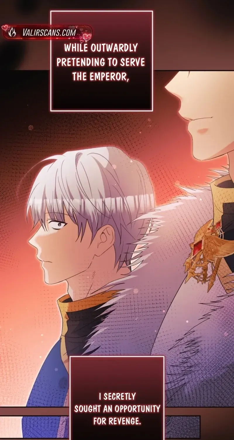 I Want a Divorce, Please Stop Obsessing Over Me! Chapter 53 page 86 - 