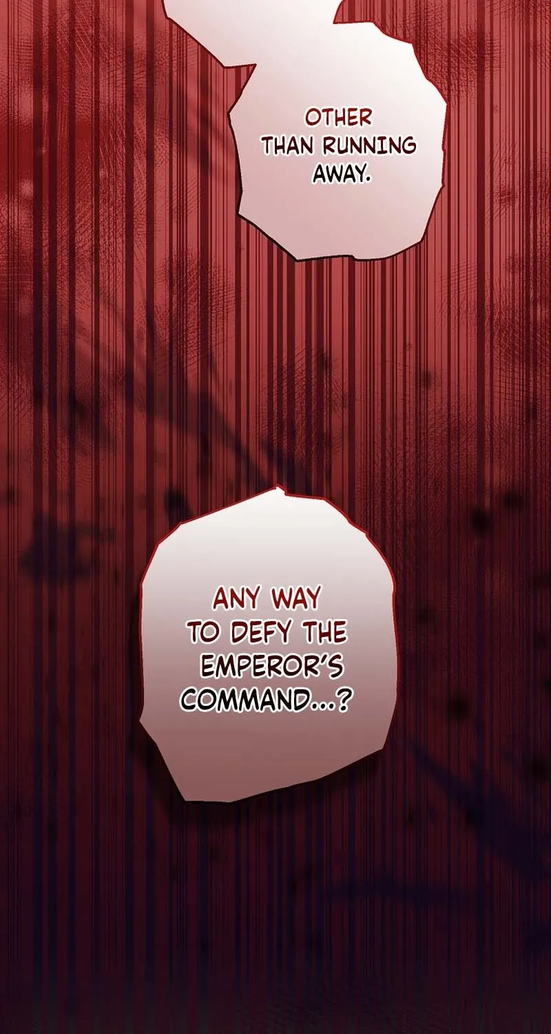 I Want a Divorce, Please Stop Obsessing Over Me! Chapter 6 page 105 - 