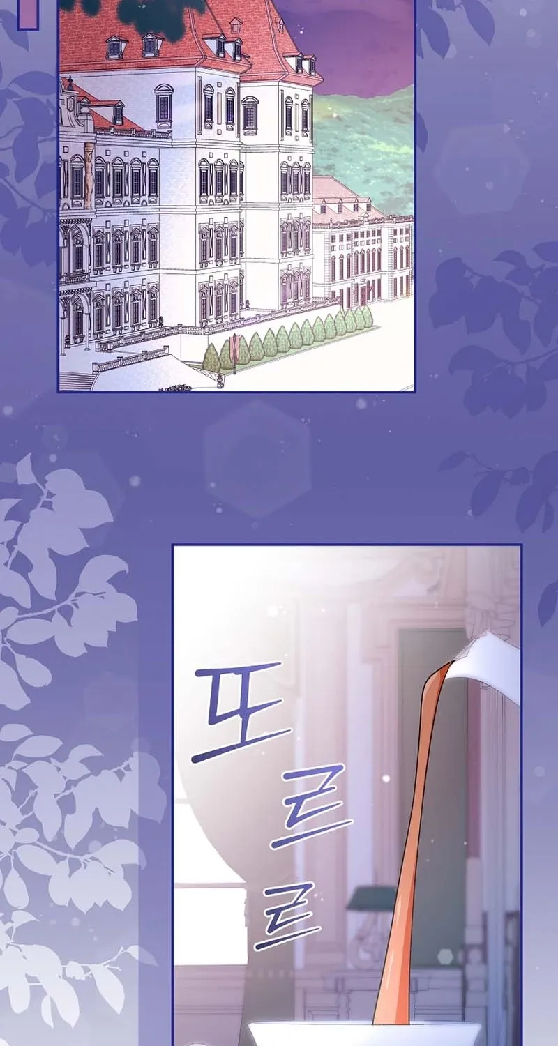 I Want a Divorce, Please Stop Obsessing Over Me! Chapter 6 page 34 - 