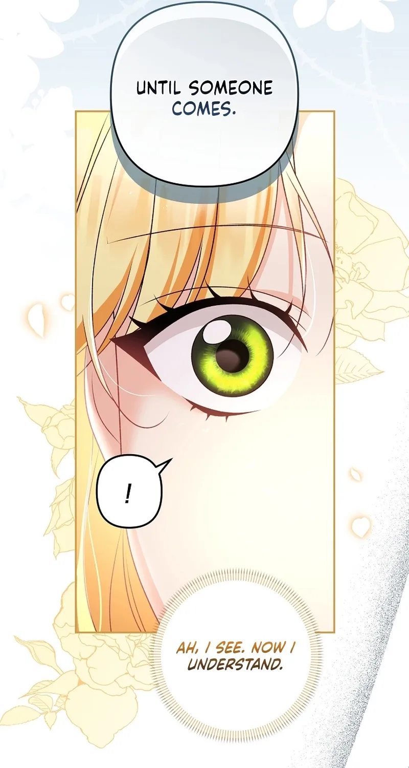 I Want a Divorce, Please Stop Obsessing Over Me! Chapter 7 page 35 - 