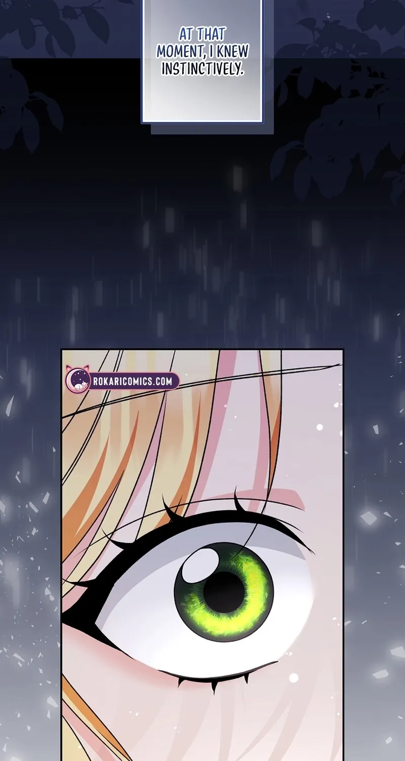 I Want a Divorce, Please Stop Obsessing Over Me! Chapter 7 page 55 - 