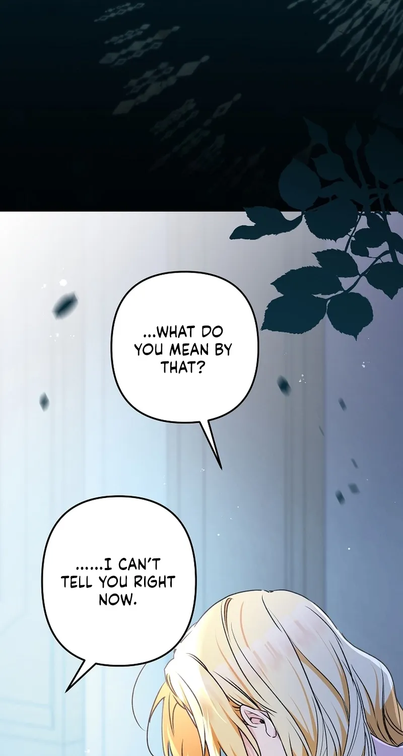 I Want a Divorce, Please Stop Obsessing Over Me! Chapter 7 page 68 - 