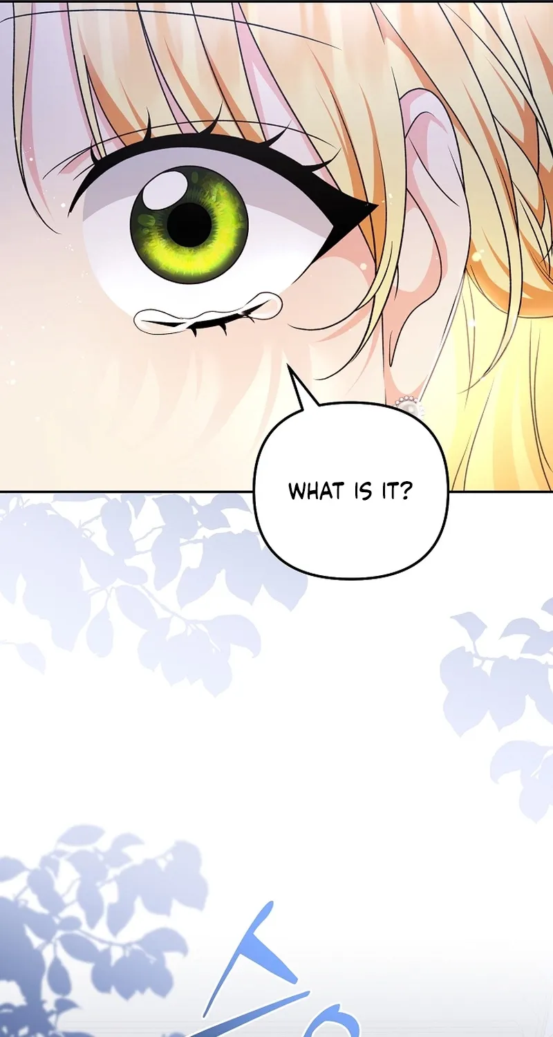 I Want a Divorce, Please Stop Obsessing Over Me! Chapter 7 page 8 - 