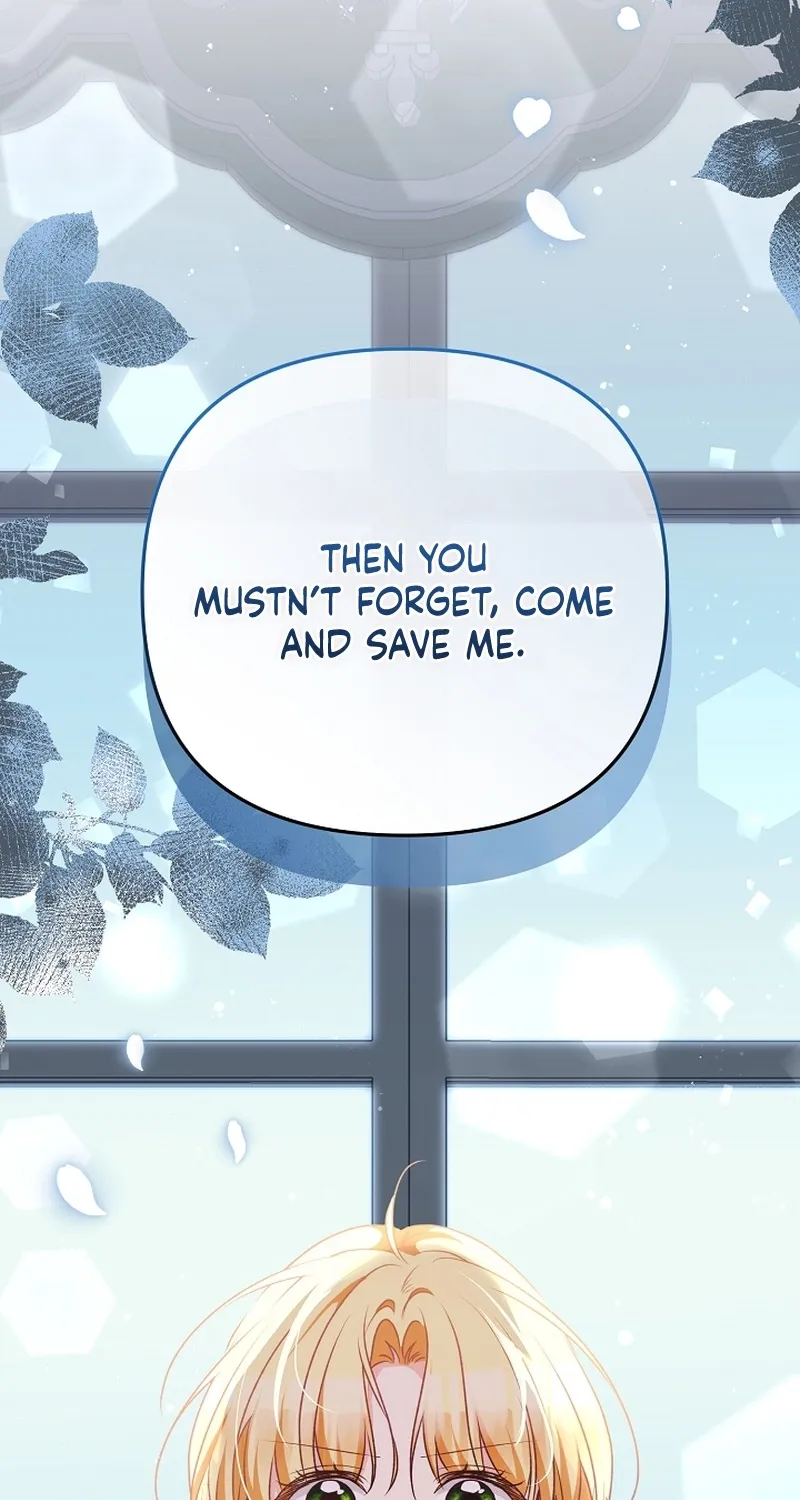 I Want a Divorce, Please Stop Obsessing Over Me! Chapter 7 page 75 - 