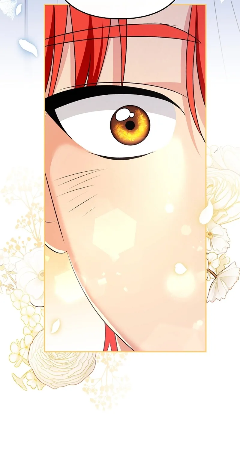 I Want a Divorce, Please Stop Obsessing Over Me! Chapter 7 page 77 - 