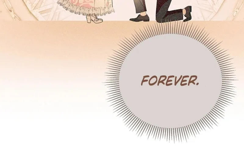I Want a Divorce, Please Stop Obsessing Over Me! Chapter 8 page 11 - 