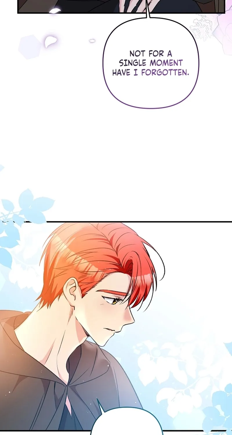 I Want a Divorce, Please Stop Obsessing Over Me! Chapter 8 page 13 - 