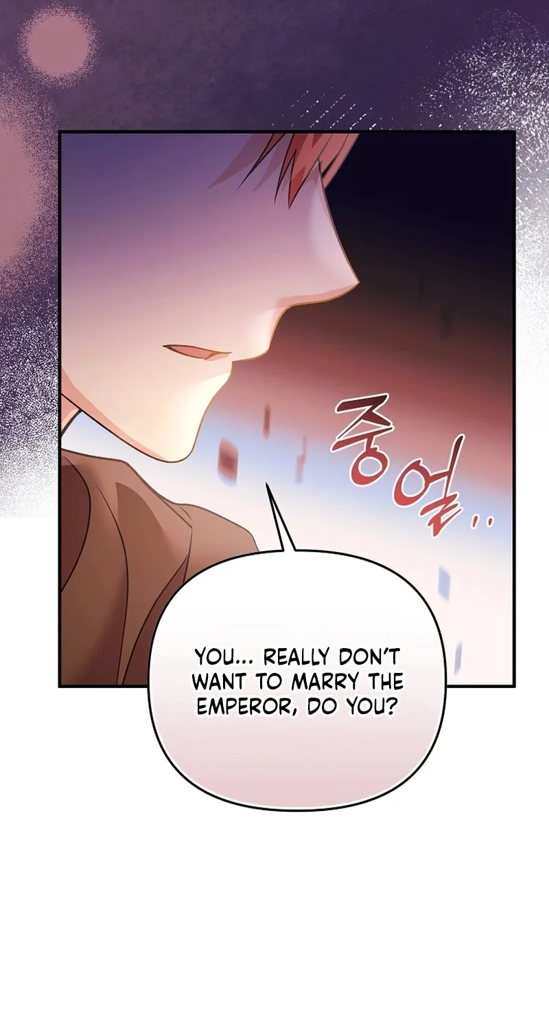 I Want a Divorce, Please Stop Obsessing Over Me! Chapter 8 page 23 - 
