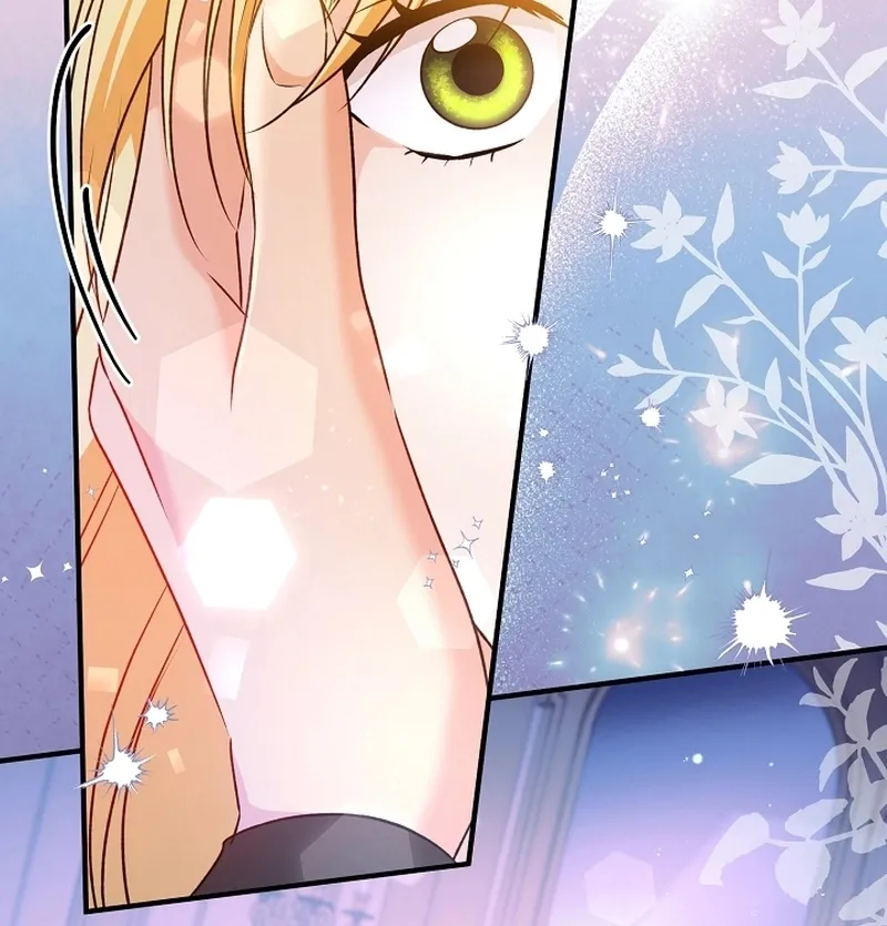 I Want a Divorce, Please Stop Obsessing Over Me! Chapter 8 page 29 - 