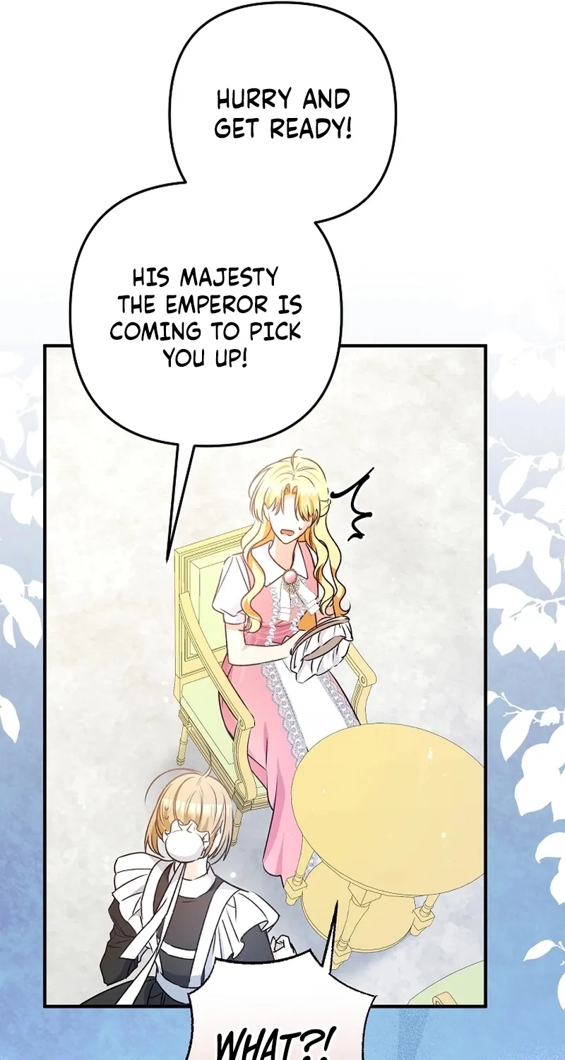 I Want a Divorce, Please Stop Obsessing Over Me! Chapter 8 page 43 - 