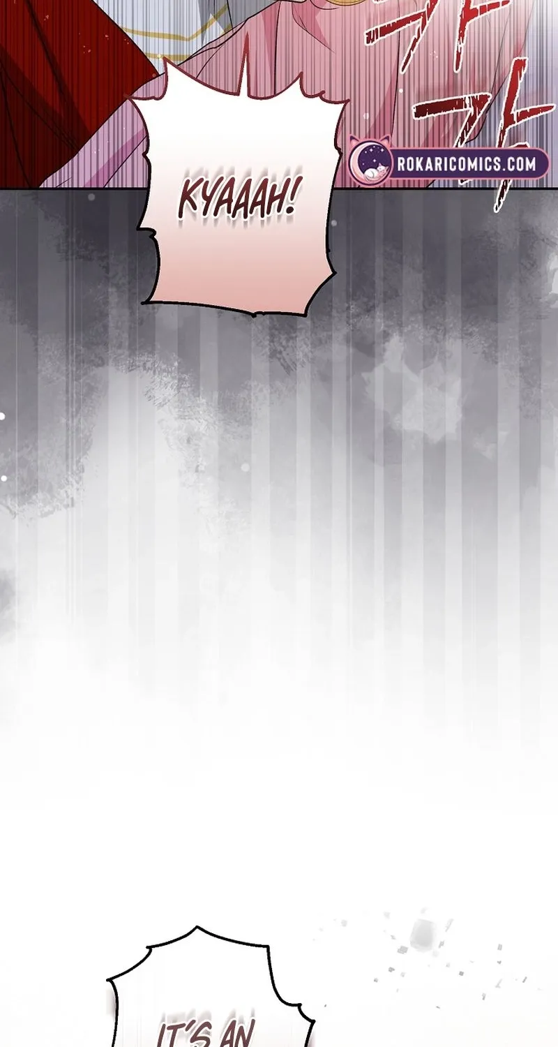 I Want a Divorce, Please Stop Obsessing Over Me! Chapter 9 page 97 - 