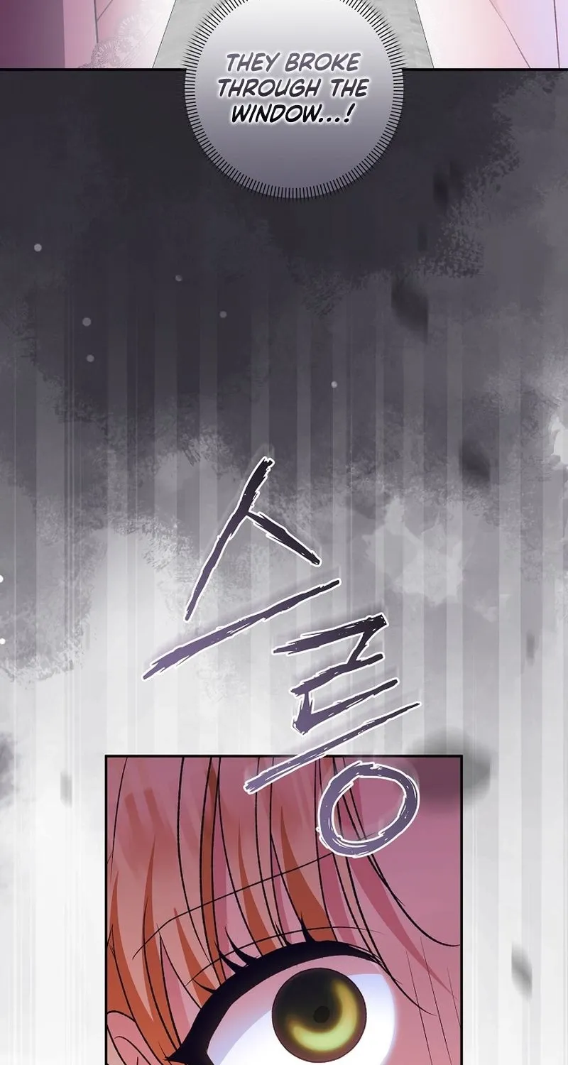 I Want a Divorce, Please Stop Obsessing Over Me! Chapter 9 page 100 - 