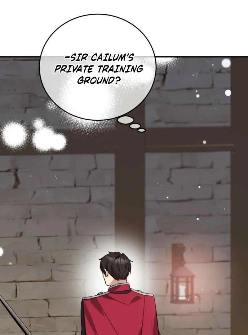I Want My First Time With a Handsome Knight Chapter 2 page 45 - 
