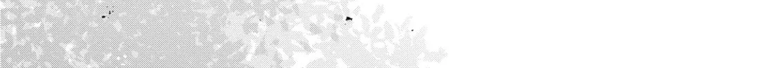 I Want to Love You Till Your Dying Day Chapter 8 page 16 - 