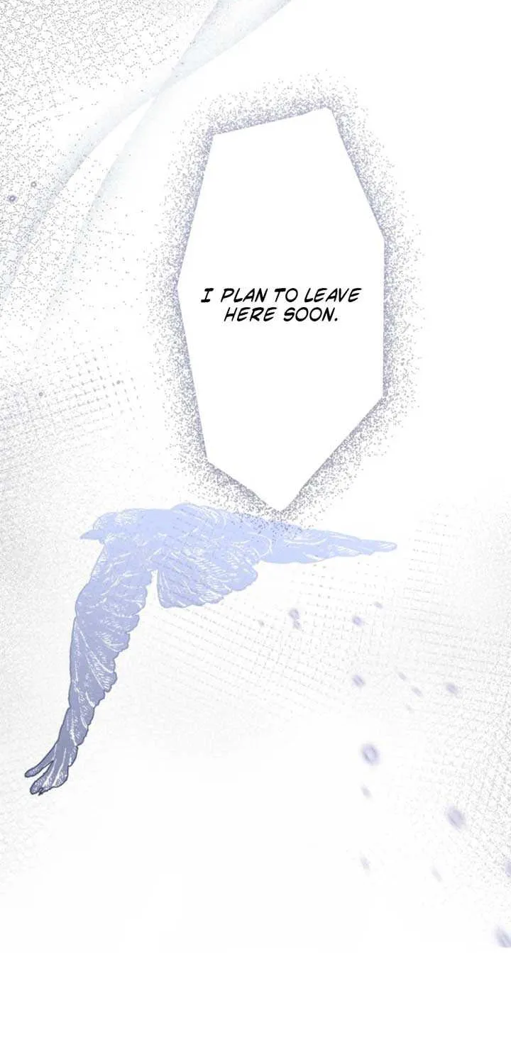 I Wanted a Divorce, But My Husband Became Obsessed With Me Chapter 1 page 55 - 