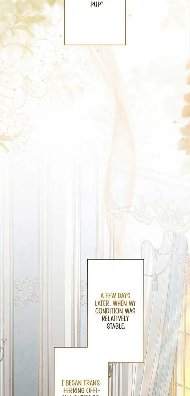I Wanted a Divorce, But My Husband Became Obsessed With Me Chapter 18 page 24 - 
