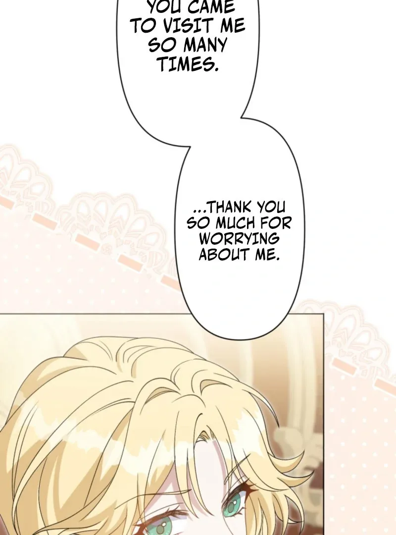 I Wanted a Divorce, But My Husband Became Obsessed With Me Chapter 25 page 11 - 