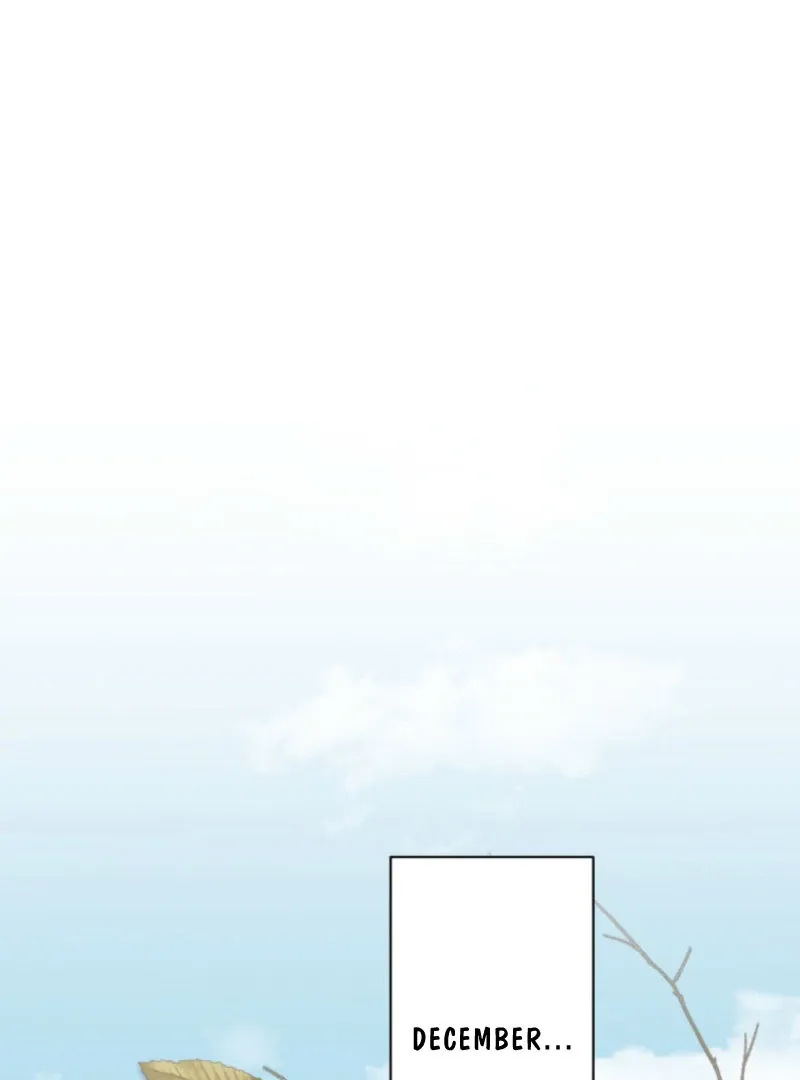 I Wanted a Divorce, But My Husband Became Obsessed With Me Chapter 26 page 65 - 