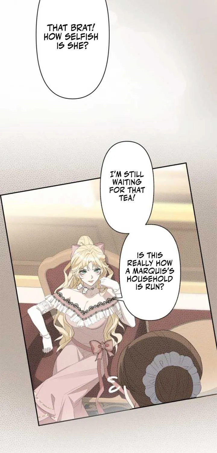 I Wanted a Divorce, But My Husband Became Obsessed With Me Chapter 3 page 5 - 