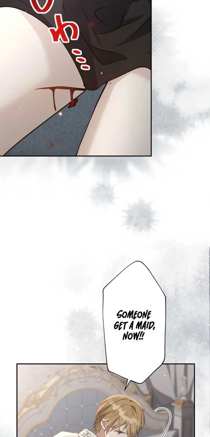 I Wanted a Divorce, But My Husband Became Obsessed With Me Chapter 5 page 4 - 