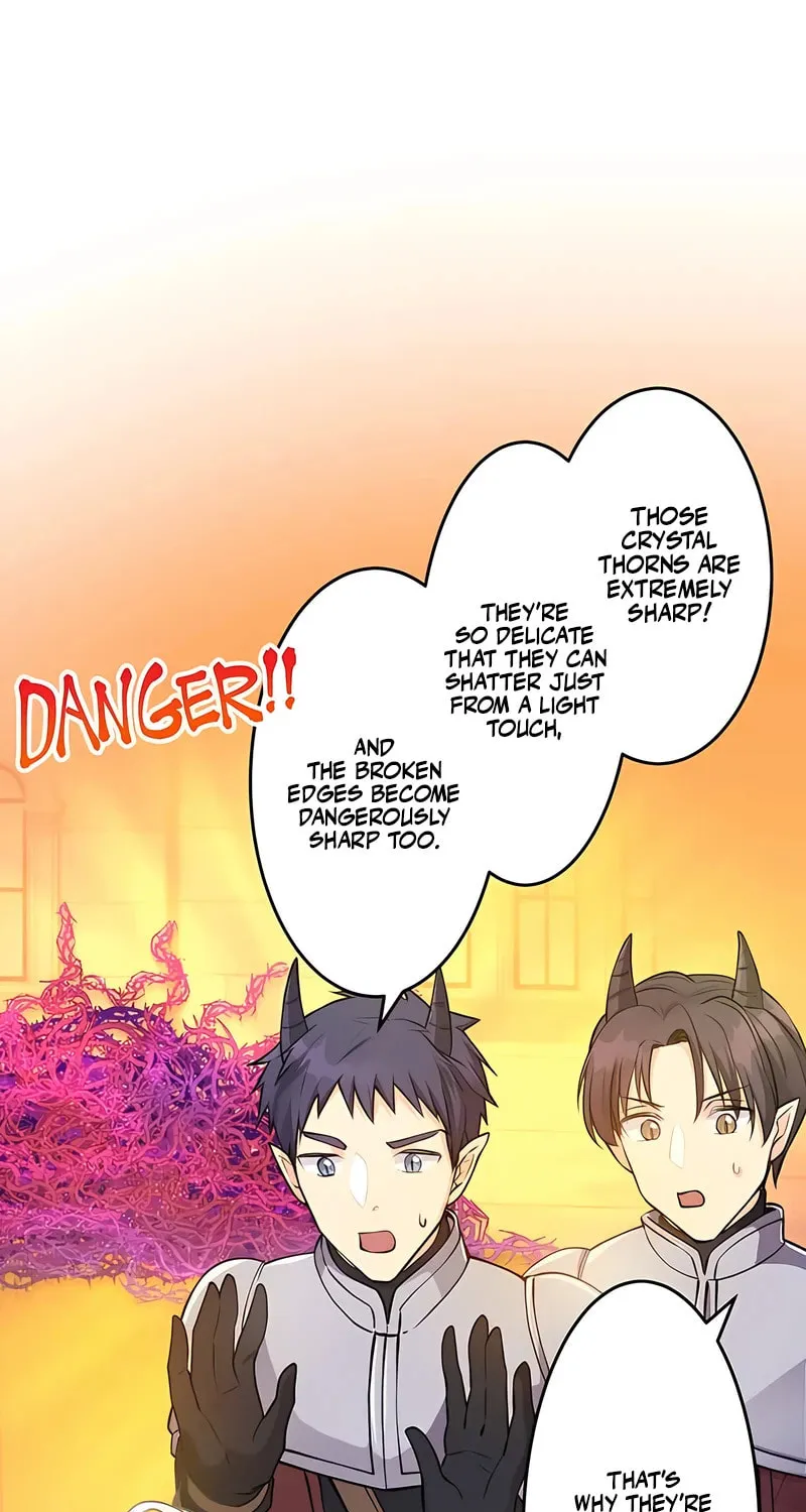 I Was a Sacrificial Princess, but I Reincarnated and Became the Body Pillow of the Demon King Chapter 10 page 34 - 