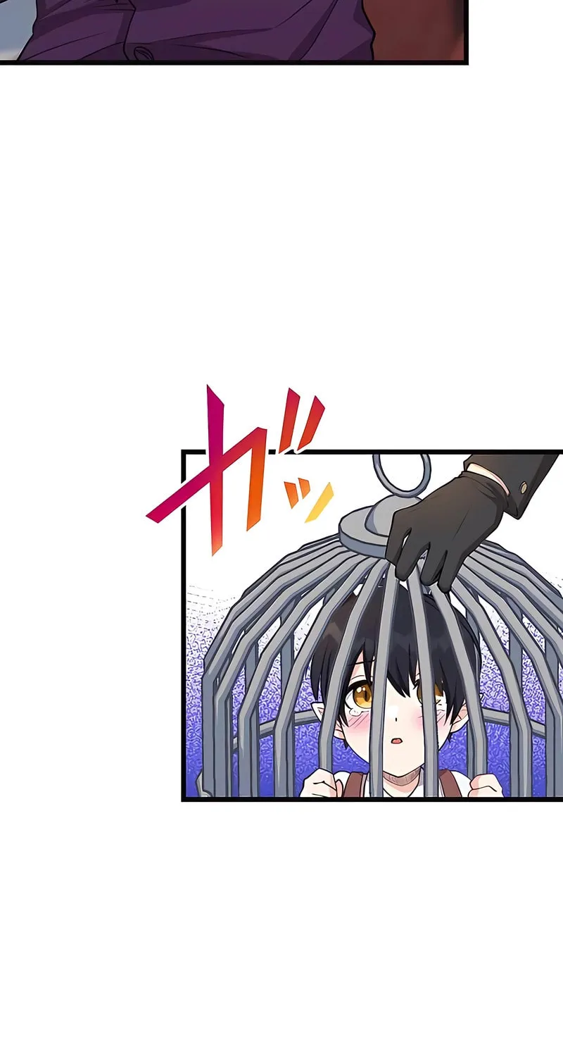 I Was a Sacrificial Princess, but I Reincarnated and Became the Body Pillow of the Demon King Chapter 12 page 43 - 