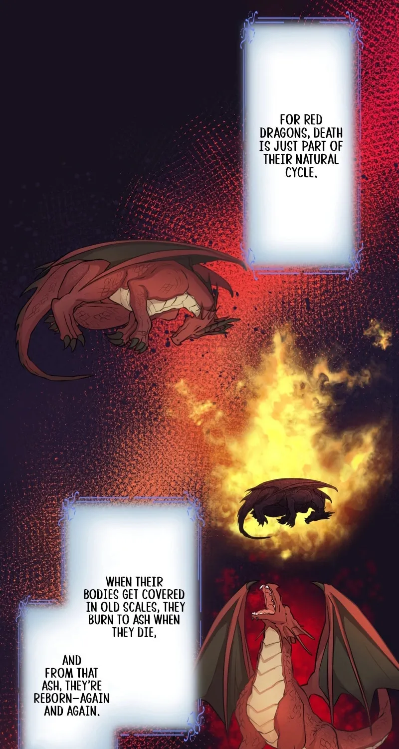 I Was a Sacrificial Princess, but I Reincarnated and Became the Body Pillow of the Demon King Chapter 19 page 37 - 