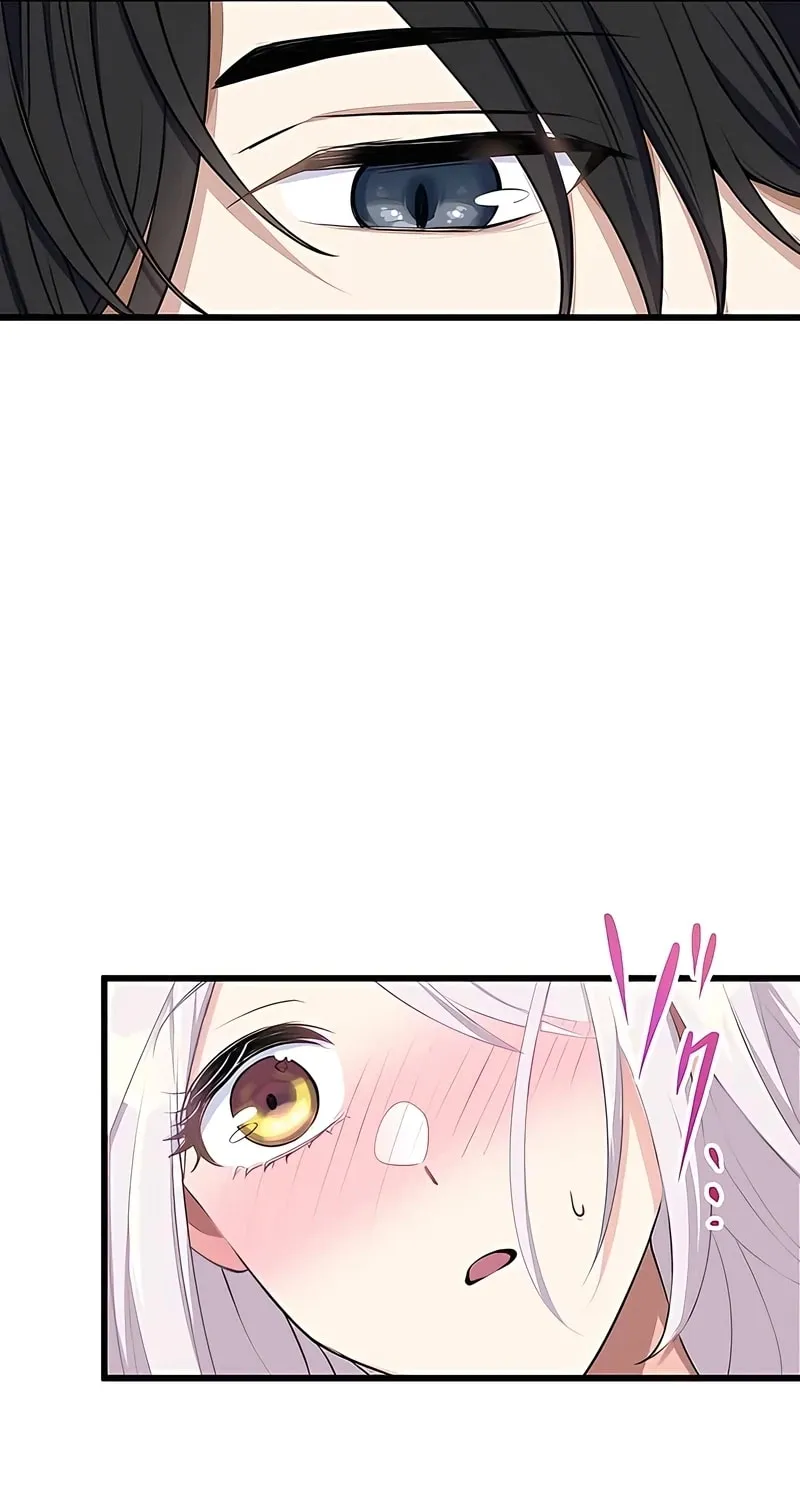 I Was a Sacrificial Princess, but I Reincarnated and Became the Body Pillow of the Demon King Chapter 4 page 12 - 