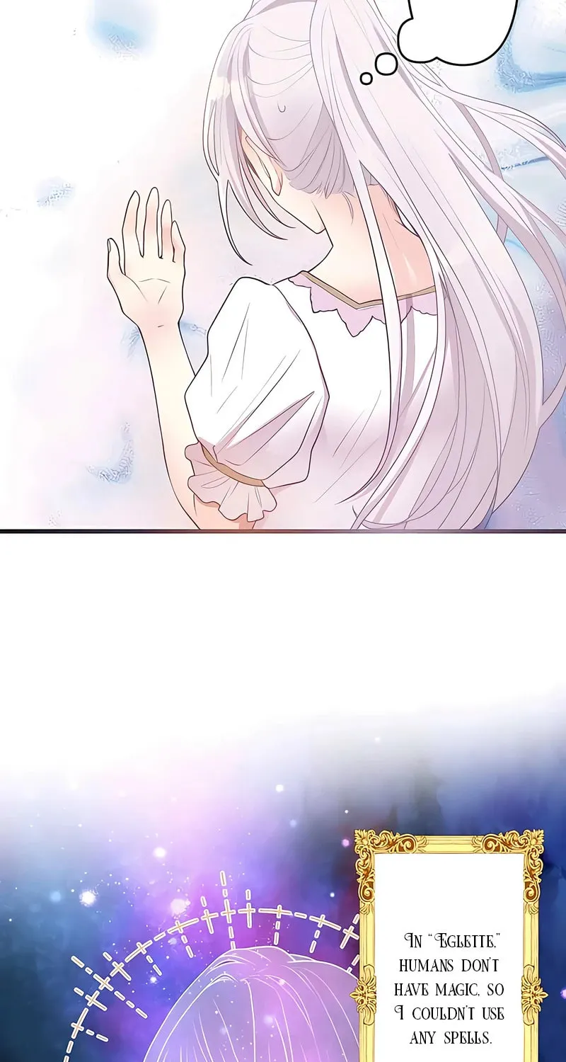 I Was a Sacrificial Princess, but I Reincarnated and Became the Body Pillow of the Demon King Chapter 8 page 16 - 