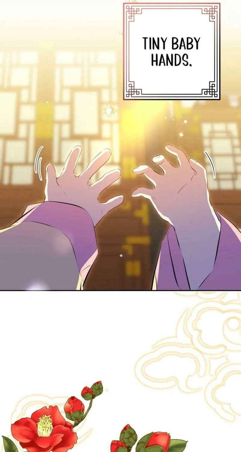 I Was Born as The Daughter of a Low-Ranking Concubine Chapter 1 page 3 - 