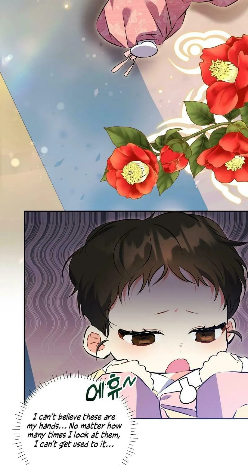 I Was Born as The Daughter of a Low-Ranking Concubine Chapter 1 page 5 - 