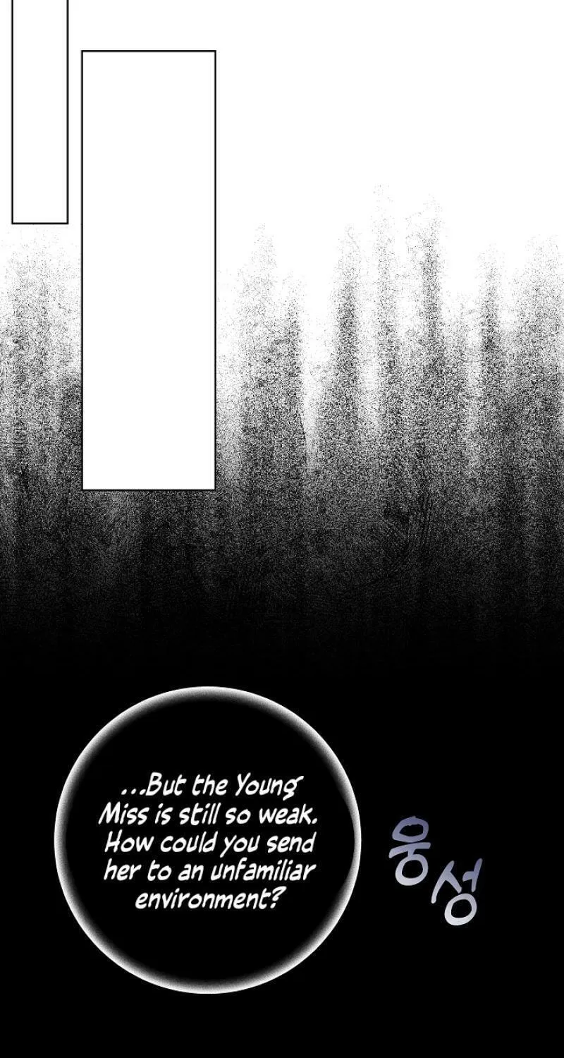 I Was Born as The Daughter of a Low-Ranking Concubine Chapter 1 page 71 - 
