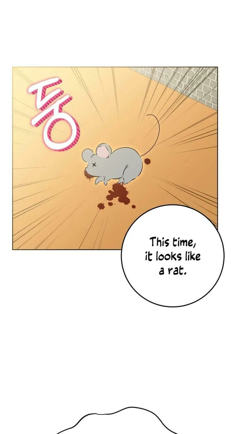 I Was Born as The Daughter of a Low-Ranking Concubine Chapter 12 page 17 - 