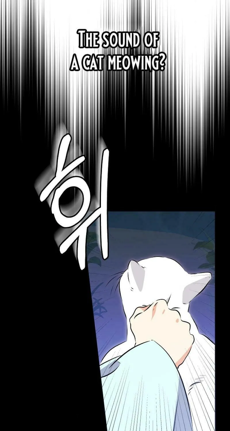 I Was Born as The Daughter of a Low-Ranking Concubine Chapter 12 page 74 - 