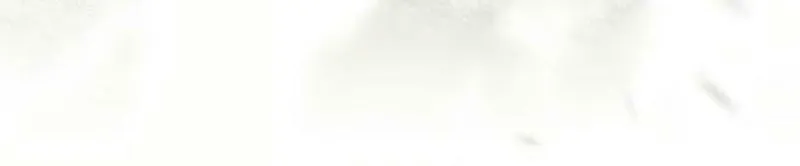 I Was Born as The Daughter of a Low-Ranking Concubine Chapter 30 page 78 - 