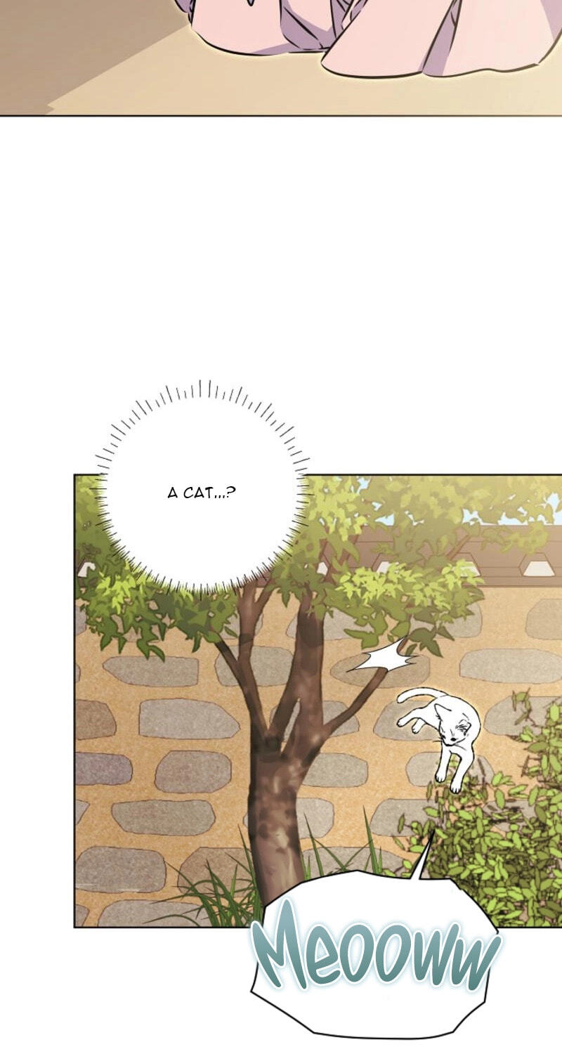I Was Born as The Daughter of a Low-Ranking Concubine Chapter 81 page 9 - 