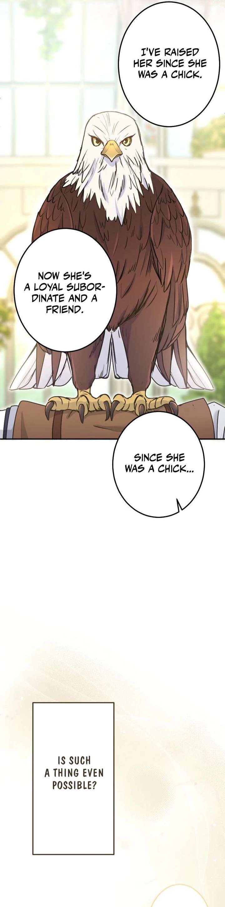 I Was Captured by the Yandere Duke Who Was My Husband in My Previous Life Chapter 17 page 45 - 