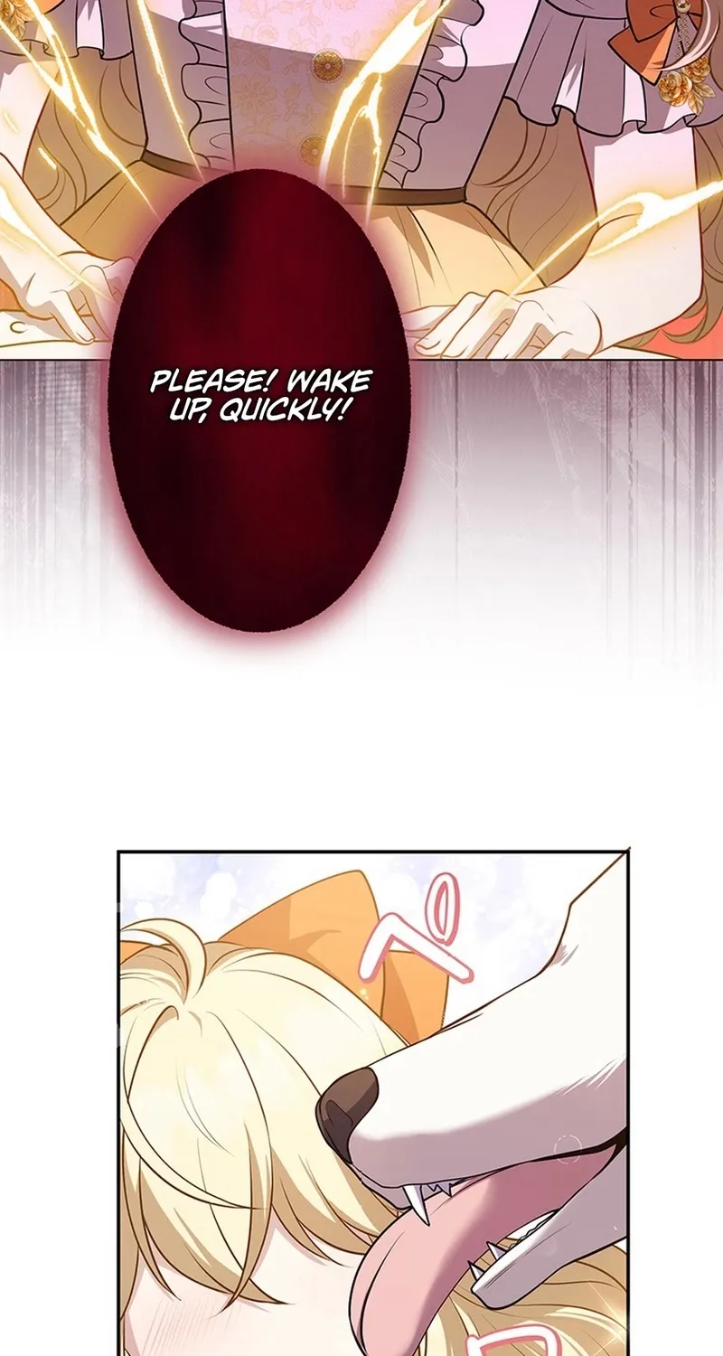 I Was Cast Aside, but Is It Really Okay to Be This Adored? Chapter 12 page 9 - 