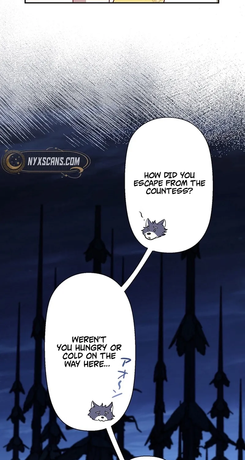 I Was Cast Aside, but Is It Really Okay to Be This Adored? Chapter 13 page 114 - 