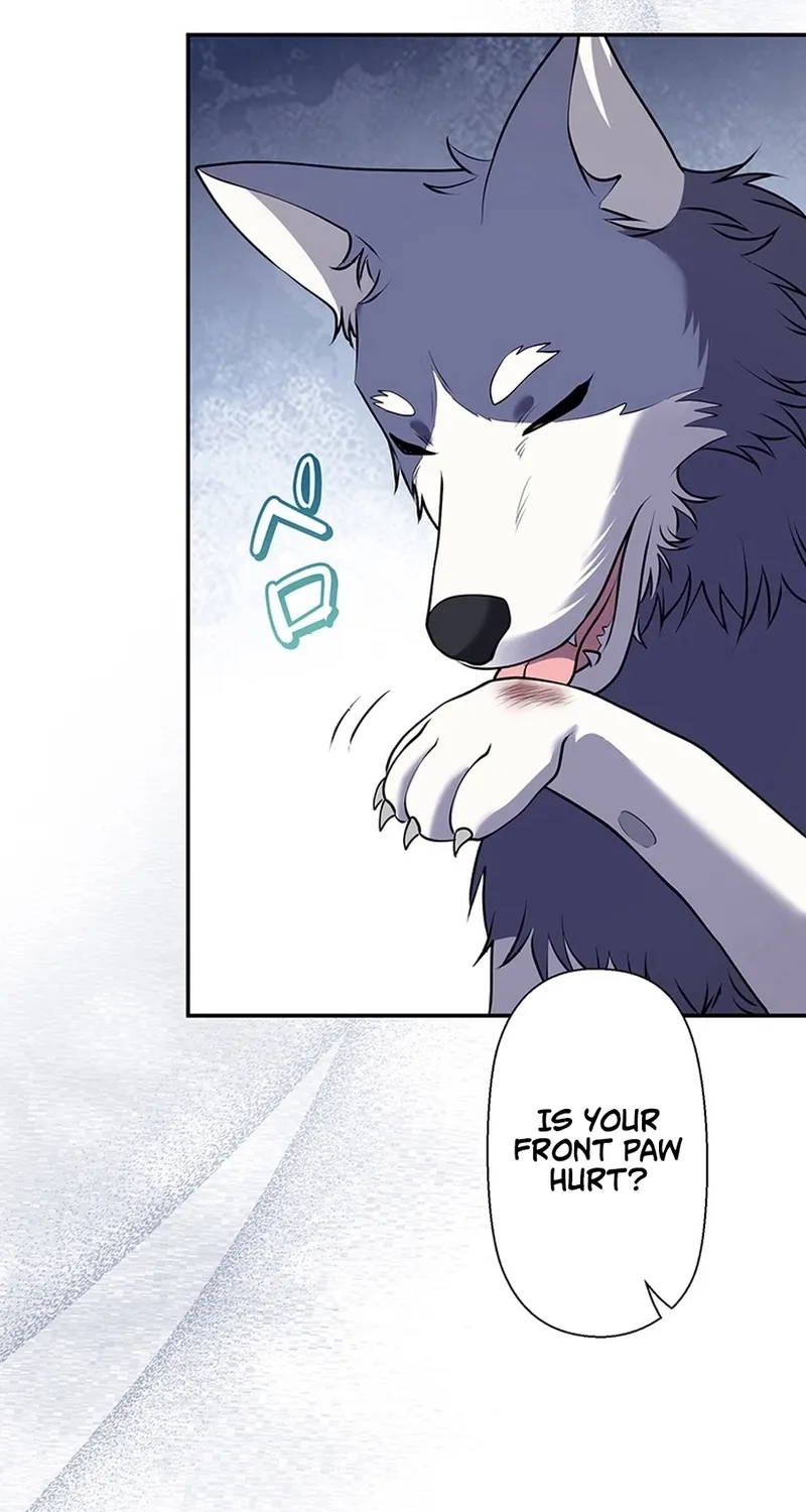 I Was Cast Aside, but Is It Really Okay to Be This Adored? Chapter 13 page 121 - 