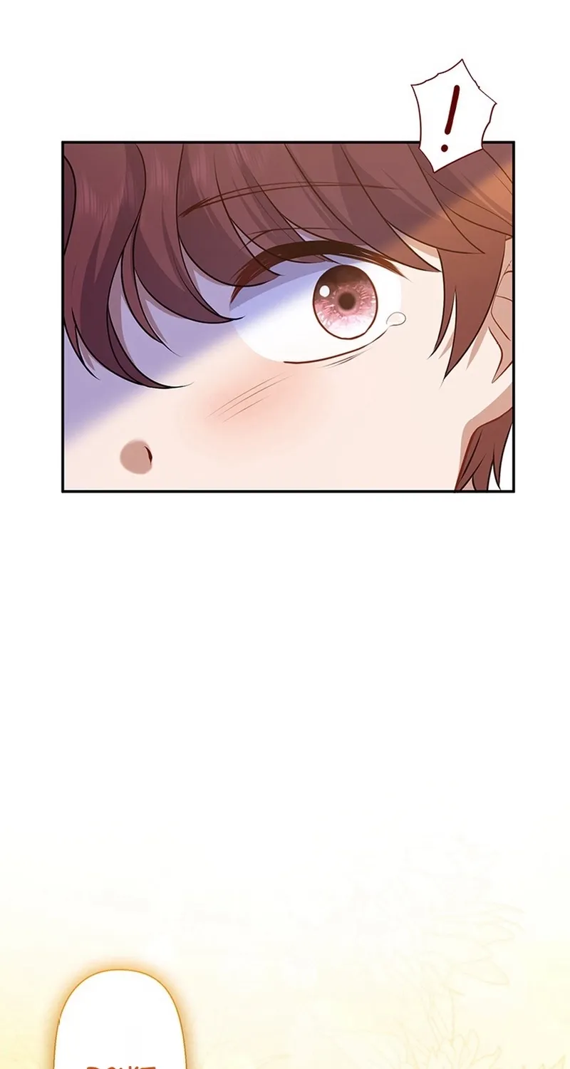 I Was Cast Aside, but Is It Really Okay to Be This Adored? Chapter 13 page 87 - 