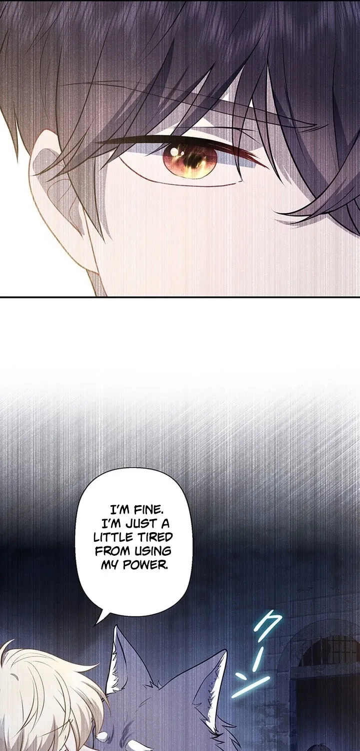 I Was Cast Aside, but Is It Really Okay to Be This Adored? Chapter 14 page 43 - 